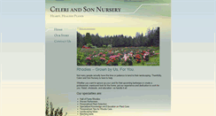 Desktop Screenshot of celeriandson.com